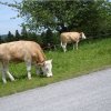 10.06.2006 Schweiz